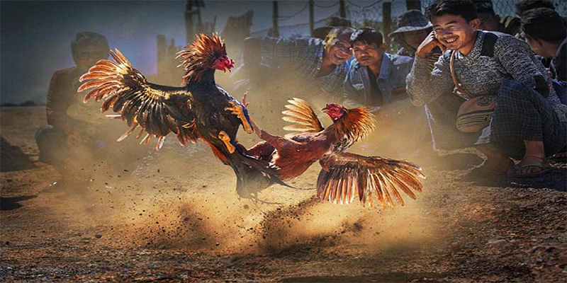 98win2 chơi bắn cá đổi thưởng