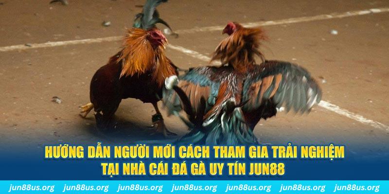 98win2 CQ9 Điện Tử