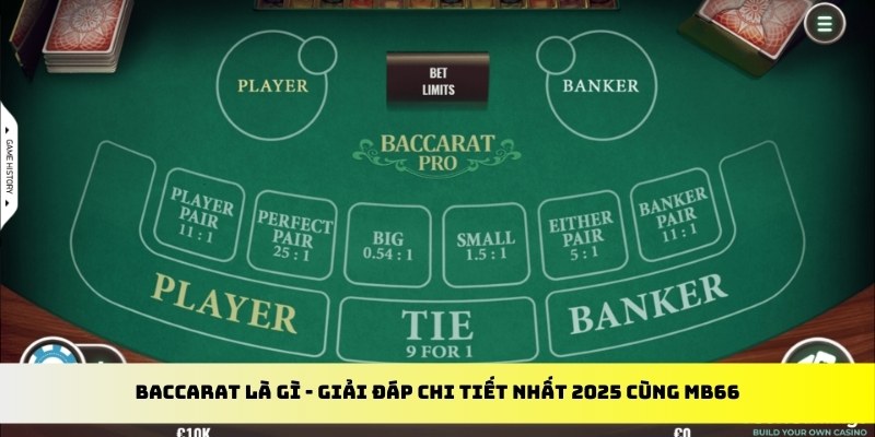 98win2 gà chọi cu cần