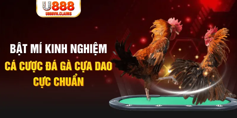 98win2 tỷ lệ cá cược châu á là gì