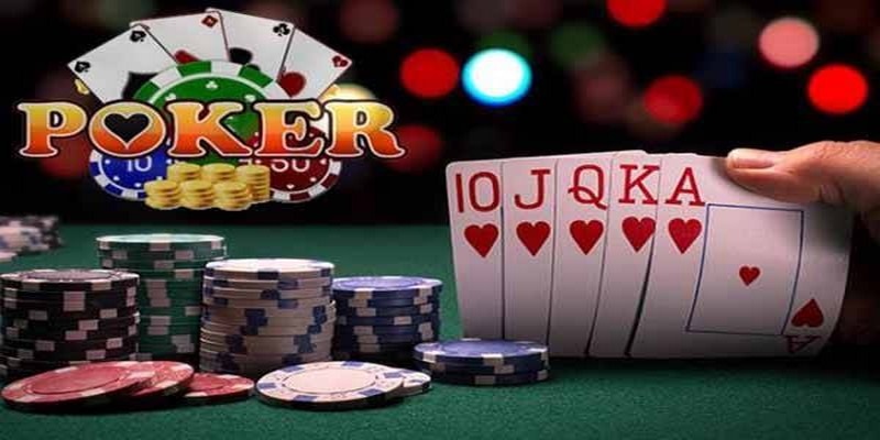 98win2 đá gà thomo trực tiếp