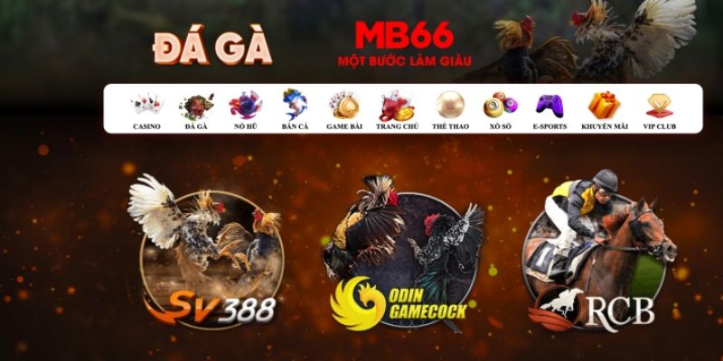 98win2 đăng nhập poker số 1