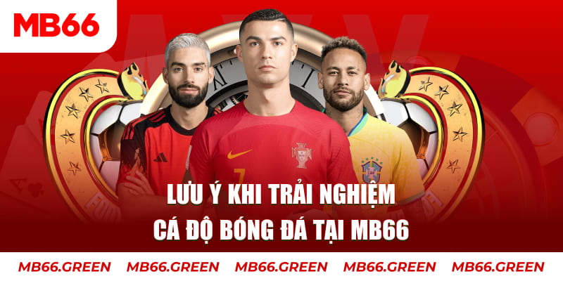 98win2 cá cược là gì
