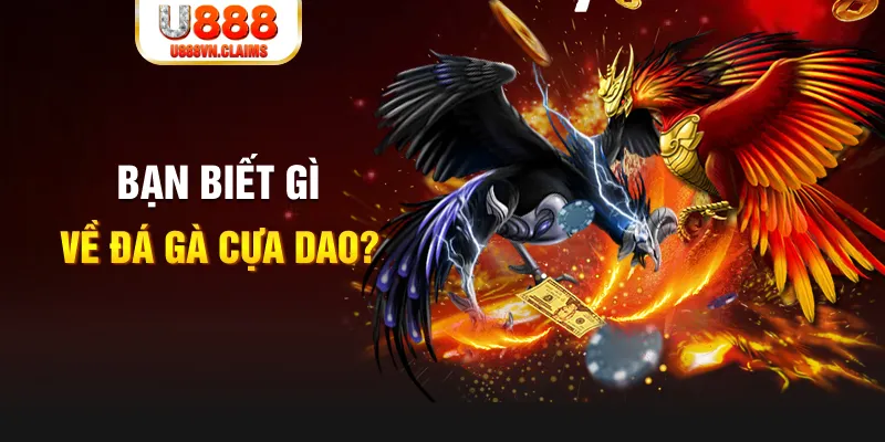 98win2 nổ hủ là gì