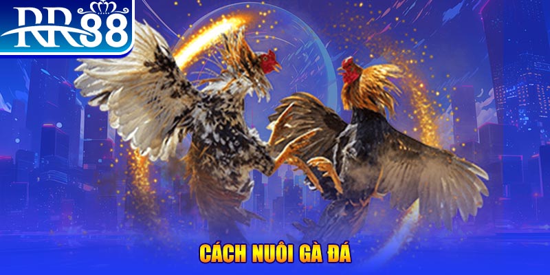 98win2 xổ số an giang