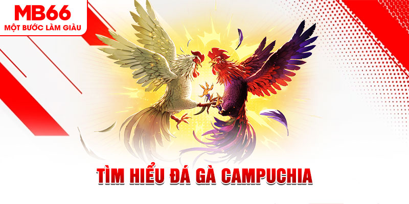 98win2 đá gà trực tiếp