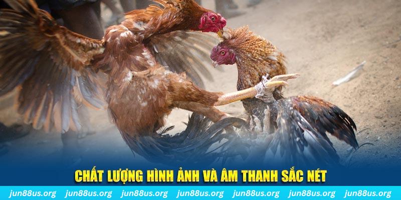 98win2 đăng nhập roulette live