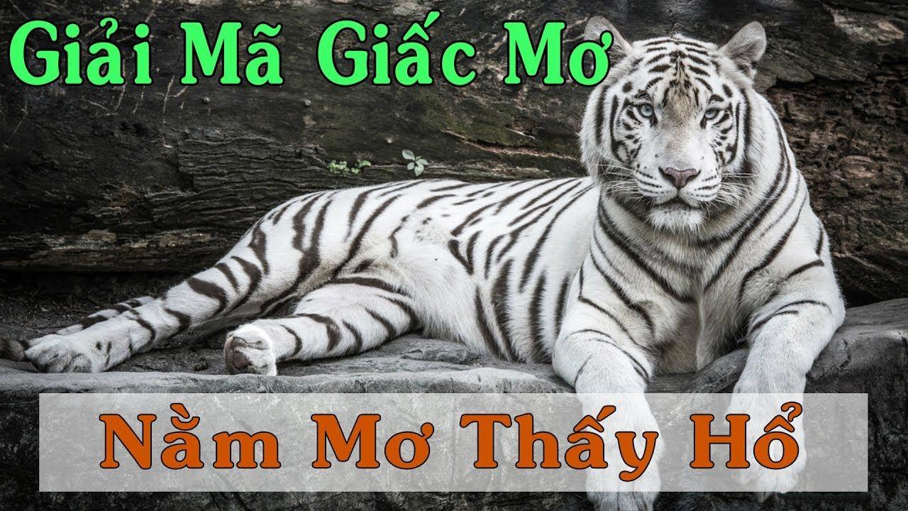98win2 WM Trực Tuyến
