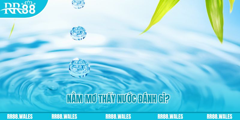 98win2 TP Bắn cá
