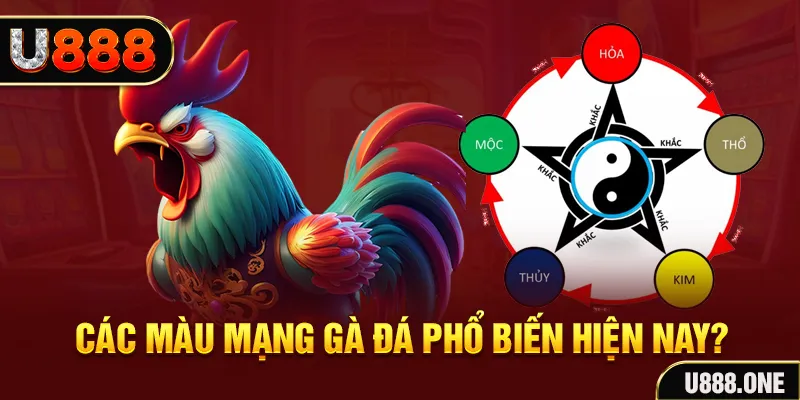 98win2 trực tiếp đá gà 88