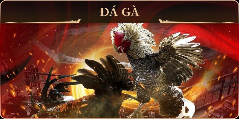 98win2 xổ số miền nam thứ hai