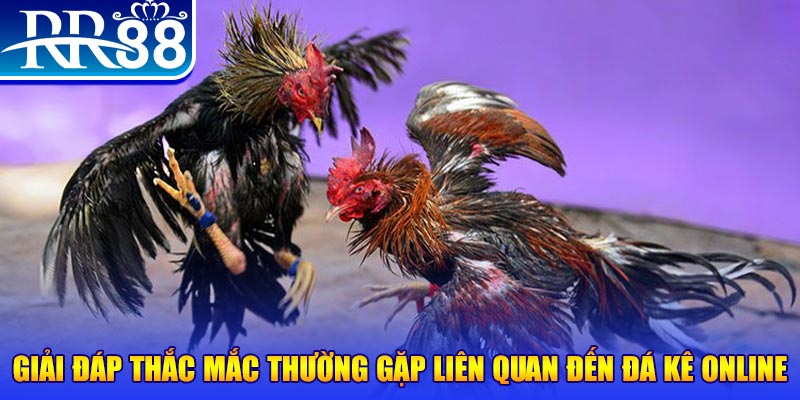 98win2 slot machine là gì