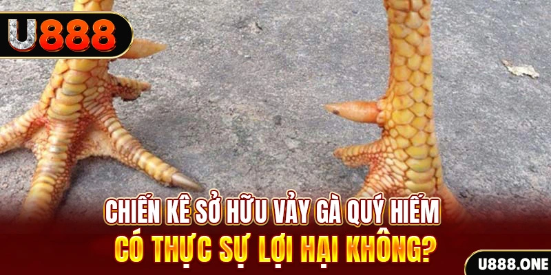 98win2 nohu .mx nổ hủ là gì