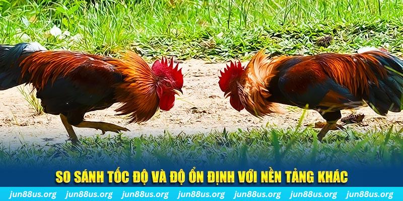 98win2 đá gà hôm nay