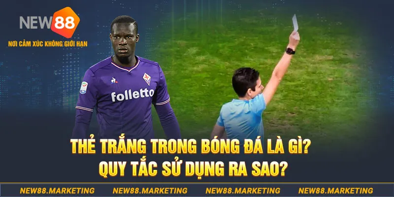 98win2 gà chọi mộc hóa