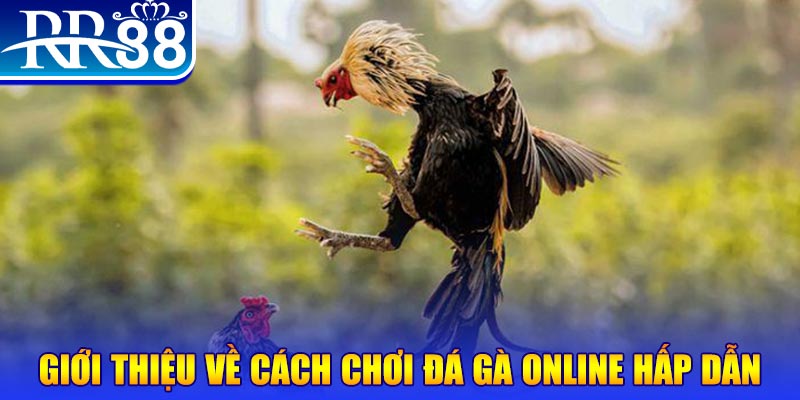 98win2 game nổ hũ rút tiền mặt là gì