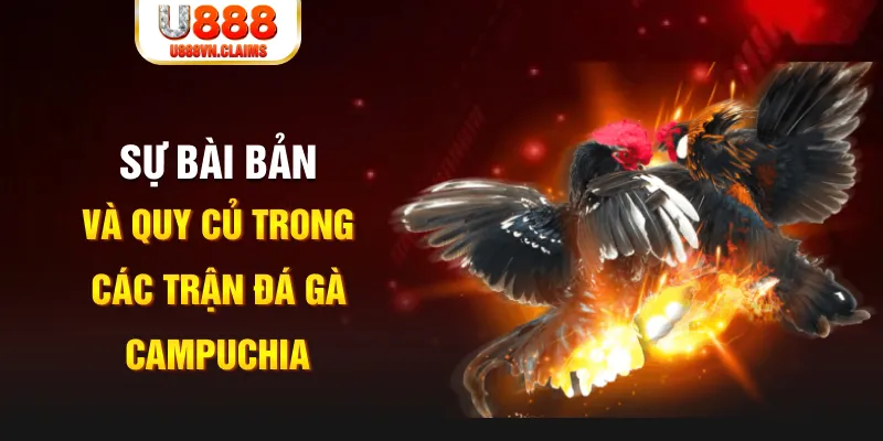 98win2 YGR Điện Tử