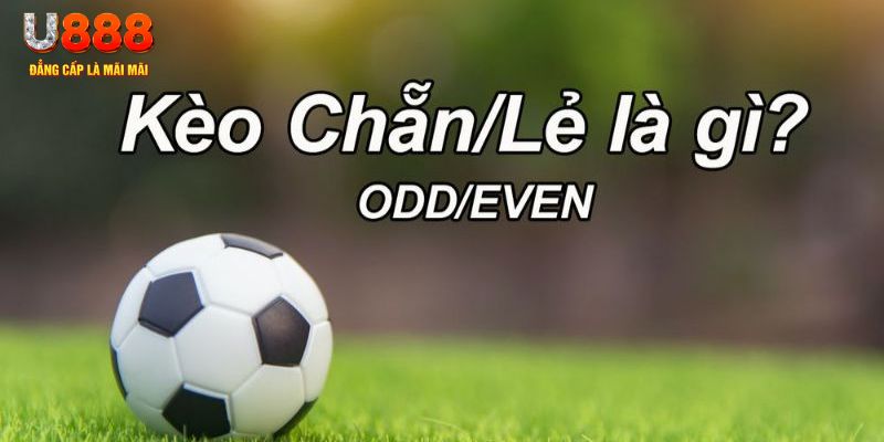 98win2 đăng nhập poker hôm nay