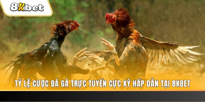 98win2 đăng nhập phỏm trực tiếp
