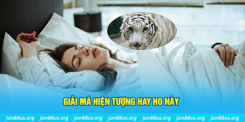 98win2 đăng nhập nổ hũ uy tín