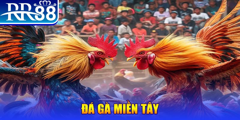 98win2 đăng nhập nổ hũ