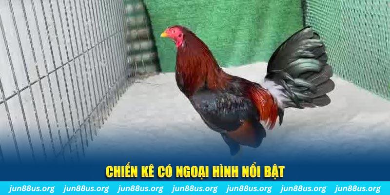 98win2 chạy quảng cáo cho game bài bị phạt như thế nào