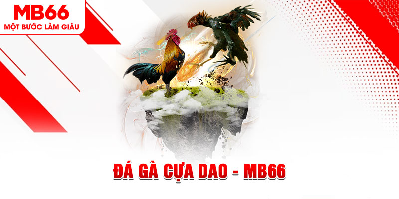98win2 đá gà sv388 gold