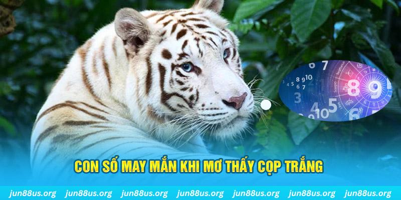98win2 đá gà trực tiếp 88